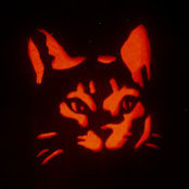 Kate King's photo