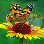 Rachel Grixti's photo