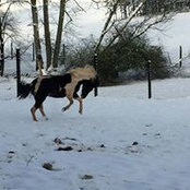 Wanda Bourgeois's photo