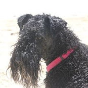 Debbie Veevers's photo