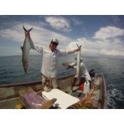 Ron Fogel's photo