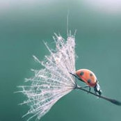 Catherine Mortimer Bedford's photo