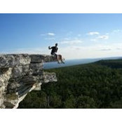Danut Toma's photo