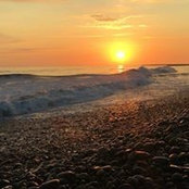 Lisa Knipp's photo
