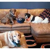 Joleen Pfile-Baumgartner's photo