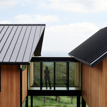Pine Tree House