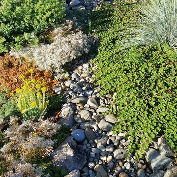 EDGECLIFF Prairie Home Genesis with Ecolawn