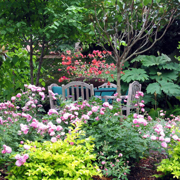 Zero Lawn Xeriscape
