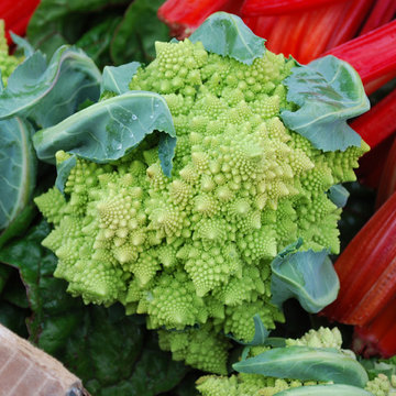 Romanesco broccoli and Swiss chard