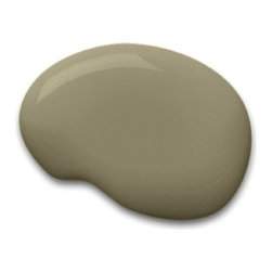 Sherwin-Williams paint color &ndash; Herbal Wash (SW 7739) - Paint