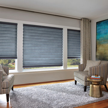 Hunter Douglas Dealer