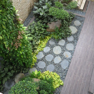 Green Wall and Residential Landscape Work @ Gerald Crescent ,Singapore