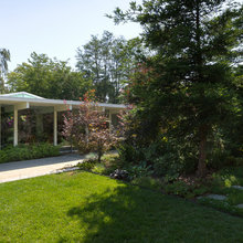 Landscape Ideas