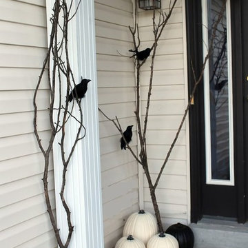 Tricks & Treats