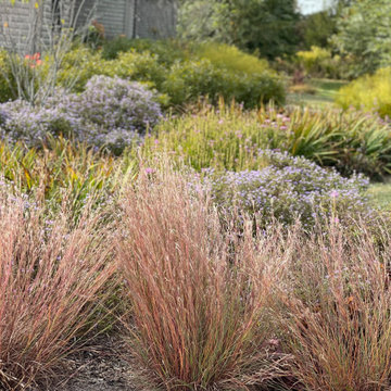 Native grasses supply fall color and add layer of texture.