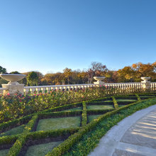 garden - backyard