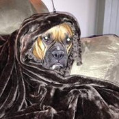 Kathy Duffey's photo