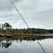Tim Sylvies's photo