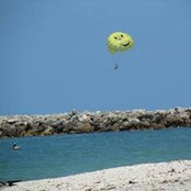Cindy Beal's photo