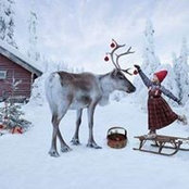 Karen Murphy-Ibrahim's photo