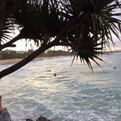 Jacqueline Townley's photo