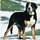 webuser_573702