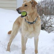 Betsy Lowe's photo