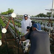 الزراعة تربة's photo