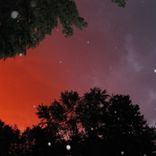 Robert Cummings's photo