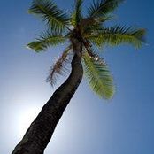 Bahga Bayoumi's photo