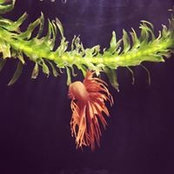 Lixuan Chen's photo