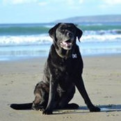 Danette Craig's photo