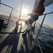 Amy Shea's photo