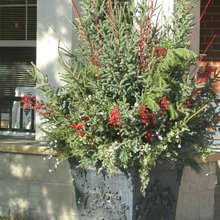 planters