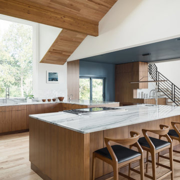 Aspire | A Modern Kitchen Renovation