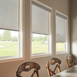 Solar and Roller Shades - Roller Shades