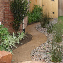 back yard landscaping