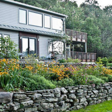 Patio/Pool Landscape