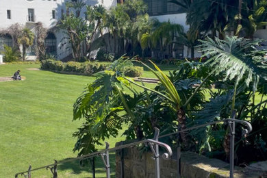 Inspiration for a landscaping in Santa Barbara.
