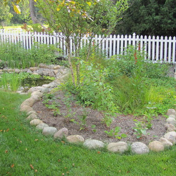 Pond and Rain Garden