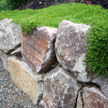 Dramatic Hillside Garden