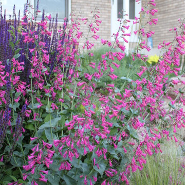 Fun, Flowers, & Food at El Rancho Calypso