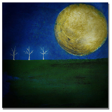 'Moonlight Minute' Canvas Art by Nicole Dietz