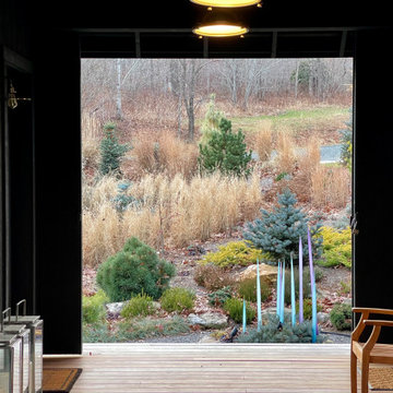 The Winter Garden As Seen From the Dogtrot