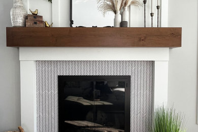 Home design - 1960s home design idea in Chicago
