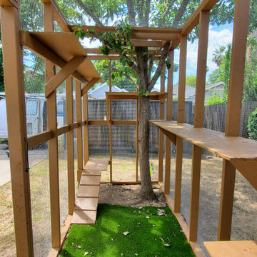 Custom Catio (Cat Patio)