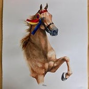 Polly Johnston's photo