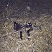 Scott Pierce's photo