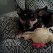 Amanda Molyneux's photo