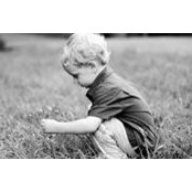 Lori Ross's photo